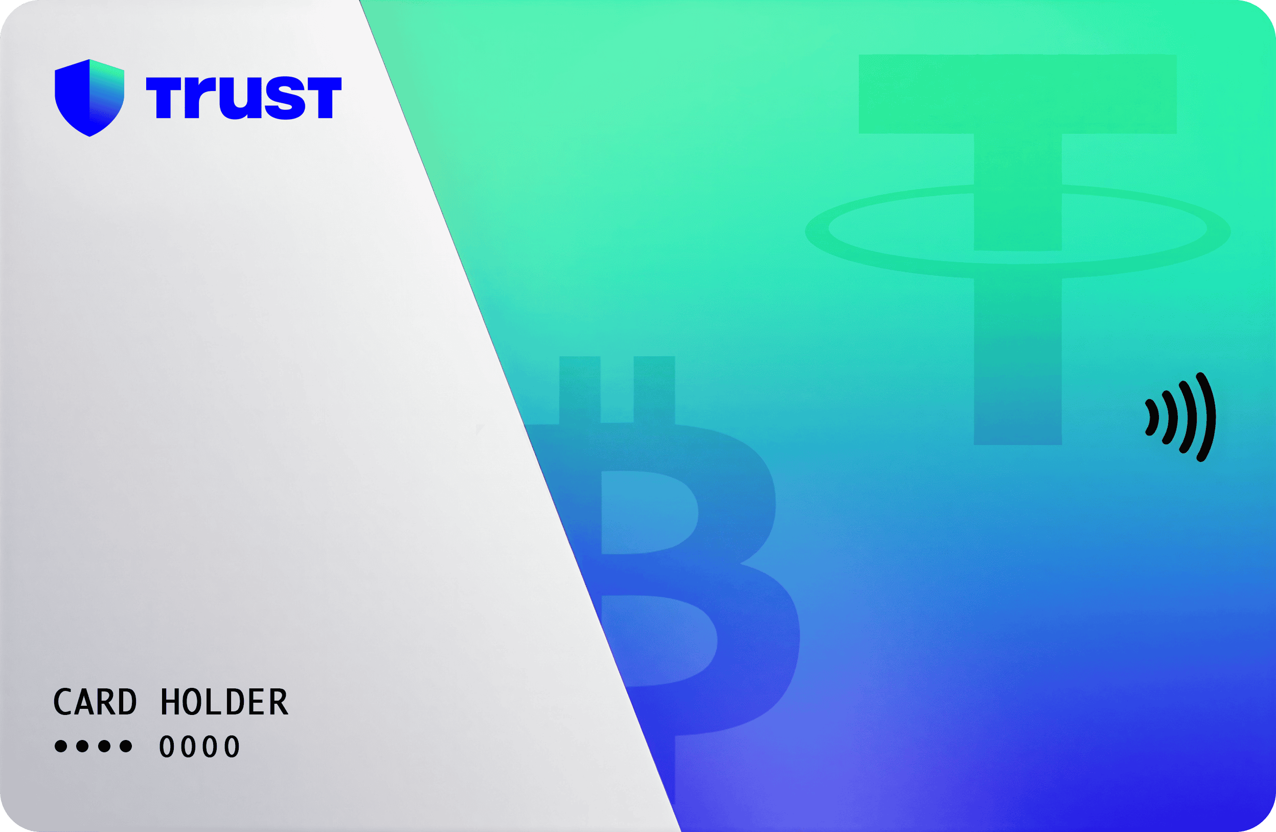 Visa E-commerce